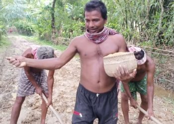 Balasore villagers protest by planting paddy on poorly constructed road