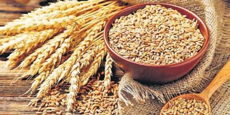 Wheat and pulses