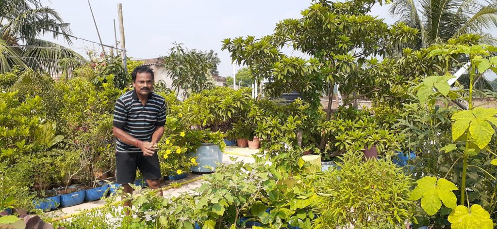 Baripada businessman’s rooftop garden a source of inspiration