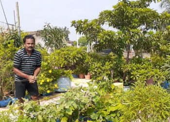 Baripada businessman’s rooftop garden a source of inspiration