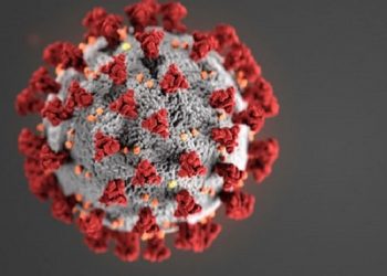 COVID-19 outbreak Two IAS, six OAS officers deputed to Ganjam