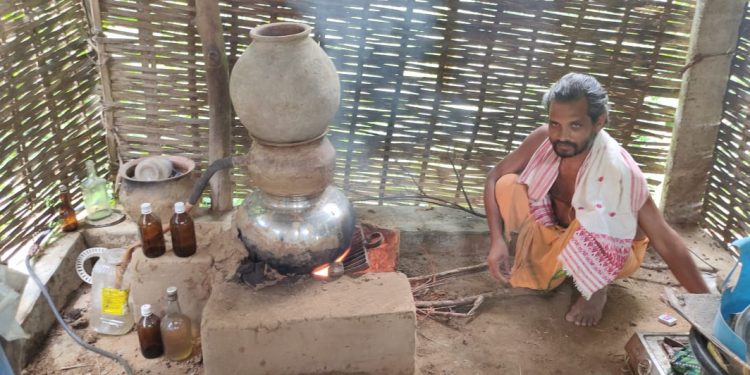 Cow urine, a mantra for disease-free life for this Angul man
