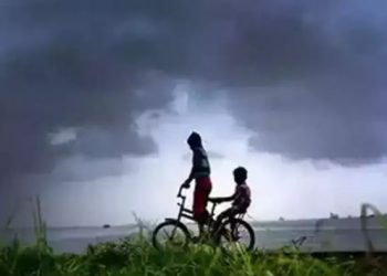 Odisha weather May 11: Yellow Warning issued for these districts