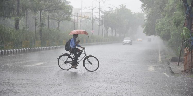 Odisha weather alert: IMD forecast heavy rainfall in 19 districts