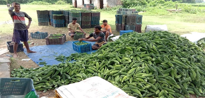 Jajpur vegetable farmers hit hard by shutdown rules