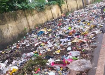 Markets, roads and lanes become new dumping yards in Angul town for lack of a designated dumping site