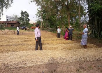 Nuapada farmers ‘gingerly’ over crop failure