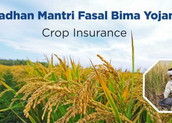 Pradhan Mantri Fasal Bima Yojana PMFBY