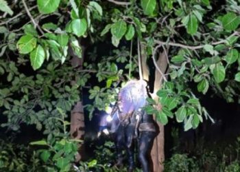 Three bodies found hanging from one tree in Angul triggers panic in village; act of sorcery suspected