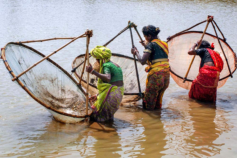 Women risk lives fishing in croc-infested rivers - OrissaPOST