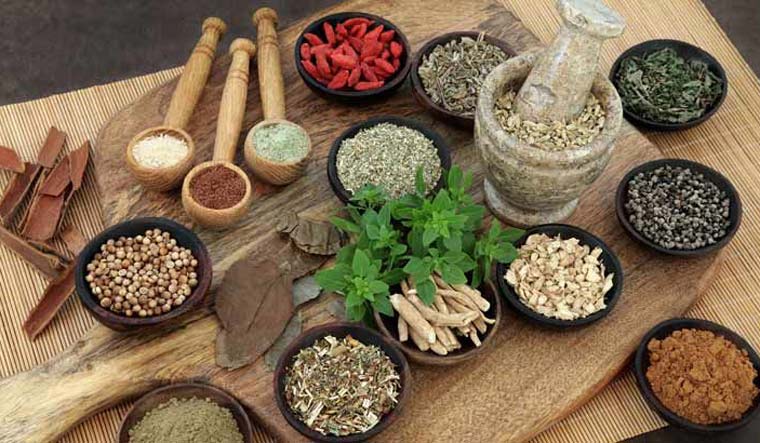 Ayurvedic ingredients