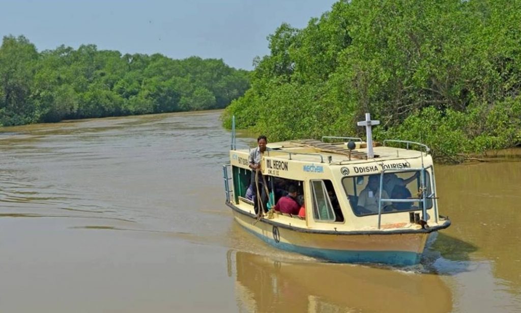 bhitarkanika patasala nadi