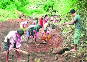 Tribal man gets 2-km long canal dug in hilly terrain