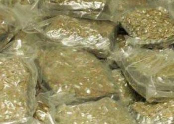 800kg ganja seized in Koraput district, two arrested