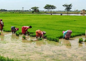 Agriculture infrastructure fund crosses Rs 30,000 crore mark of capital mobilisation