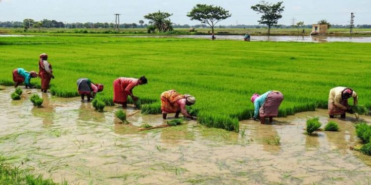 Agriculture infrastructure fund crosses Rs 30,000 crore mark of capital mobilisation