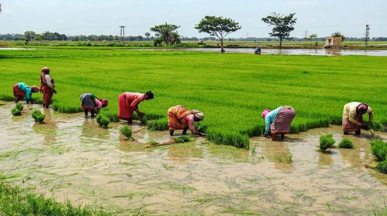 Agriculture infrastructure fund crosses Rs 30,000 crore mark of capital mobilisation