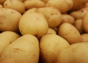 Bengal raises potato heat, Odisha boils