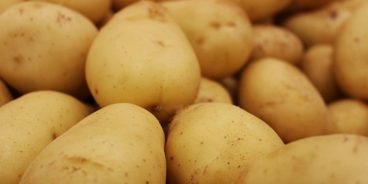 Odisha contemplates to procure potato from Uttar Pradesh