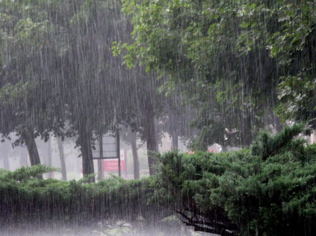 Heavy rainfall - Cyclone Dana