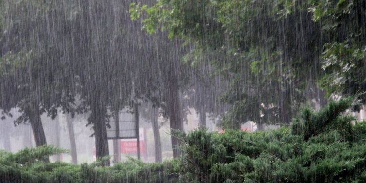 Heavy rainfall - Cyclone Dana