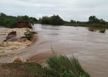 Odisha CM Naveen Patnaik asks officials to review preparedness for tackling possible floods, cyclones