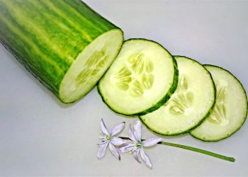 This is why it is essential to eat cucumbers every day