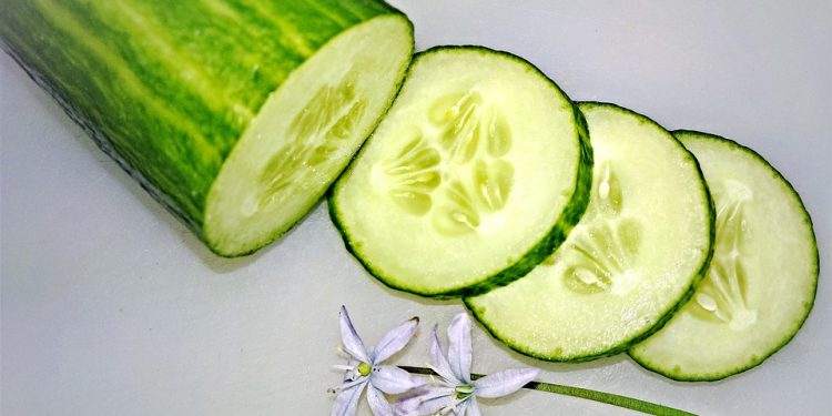 This is why it is essential to eat cucumbers every day