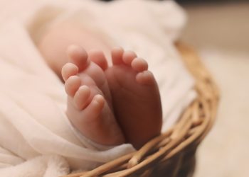 Newborn girl found abandoned Gajapati district