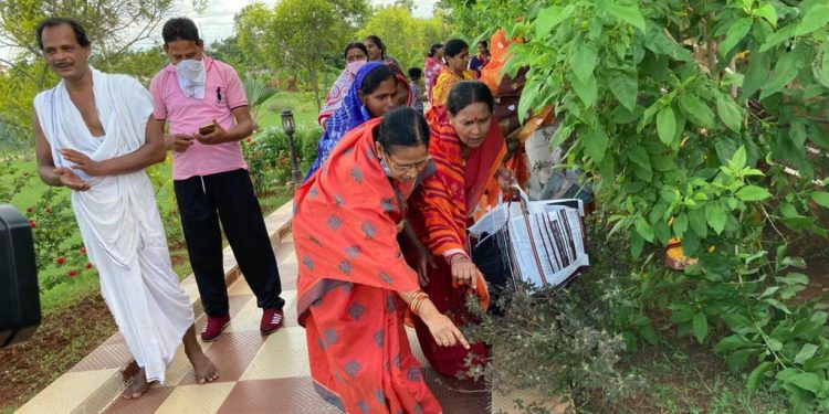 This family has been supplying Tulsi to Puri Jagannath Temple for 14 years