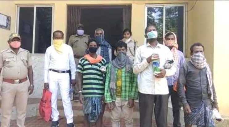 7 held for felling sal trees in reserve forest
