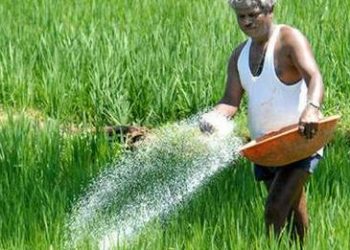 Boudh farmers left high and dry as fertilizer prices soar