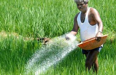 Boudh farmers left high and dry as fertilizer prices soar