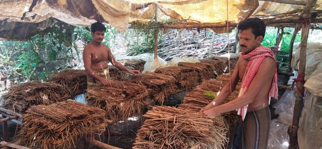 COVID-19 outbreak transforms idol maker to successful mushroom farmer in Khurda