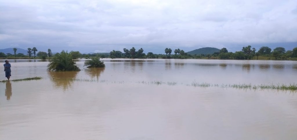 Dhenkanal’s fish farmers badly hit by floods in Brahmani river