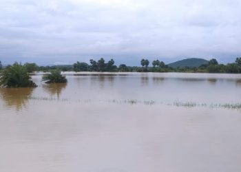 Dhenkanal’s fish farmers badly hit by floods in Brahmani river