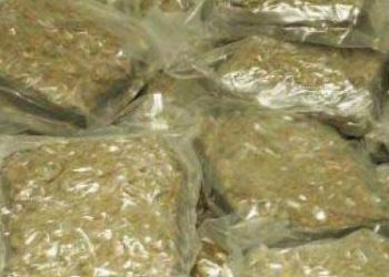 Ganja worth Rs 50 lakh seized, one arrested in Gajapati