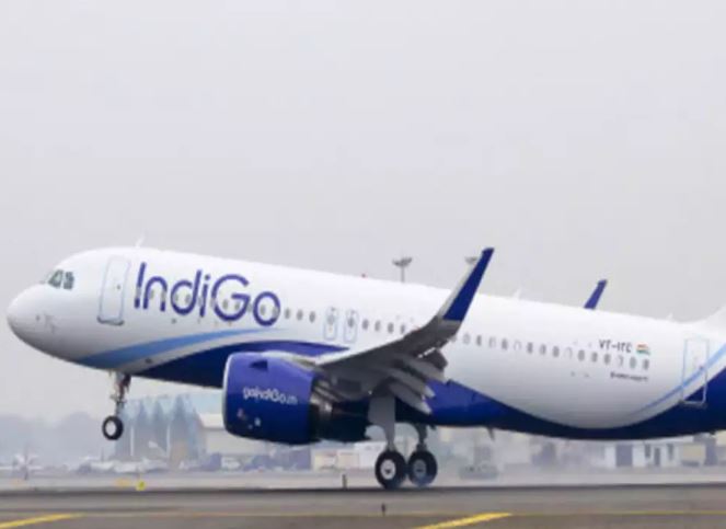 Indigo