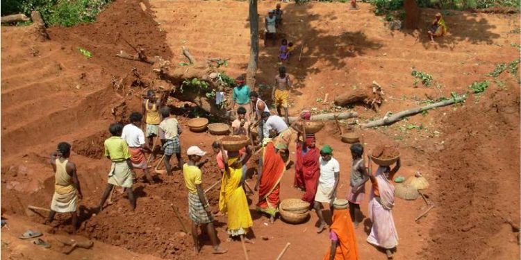 MGNREGS faces fund crunch in Sambalpur