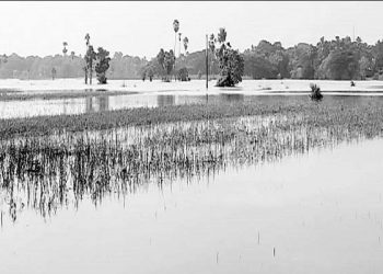 Normalcy eludes flood-hit Bari block in Jajpur district