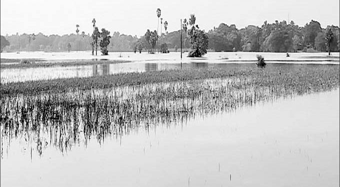 Normalcy eludes flood-hit Bari block in Jajpur district