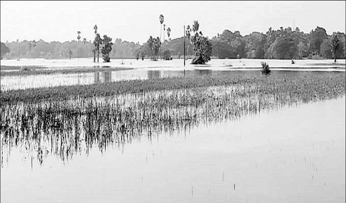 Normalcy eludes flood-hit Bari block in Jajpur district