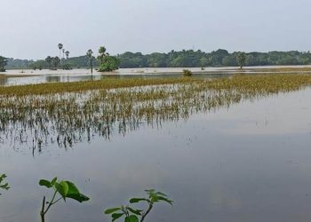 Will flood-hit Jajpur limp back to normalcy