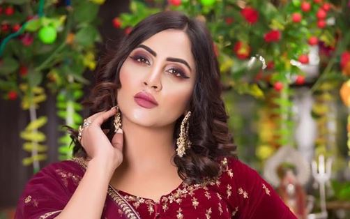 Watch video: Bigg Boss 11 contestant Arshi Khan tears apart Kangana Ranaut  - OrissaPOST