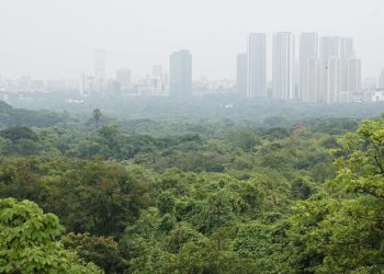 Aarey forests(Image courtesy-Twitter)