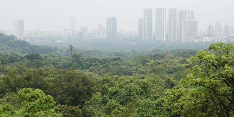 Aarey forests(Image courtesy-Twitter)