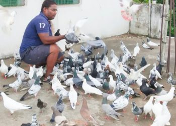 Bhadrak teacher turns a ‘birdman’