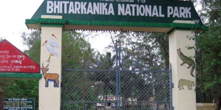 Bhitarkanika National Park in Odisha reopens for tourists
