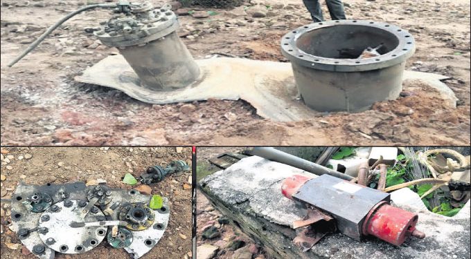 Deer from Raj Bhavan park dies under impact of Bhubaneswar filing centre explosion