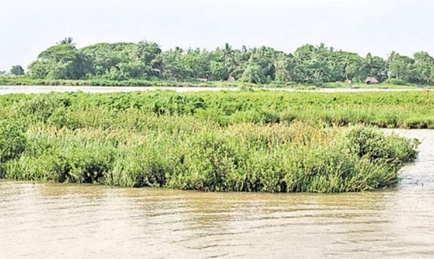 Fate of Odisha’s first riverine port proposed in Kendrapara district hangs in balance
